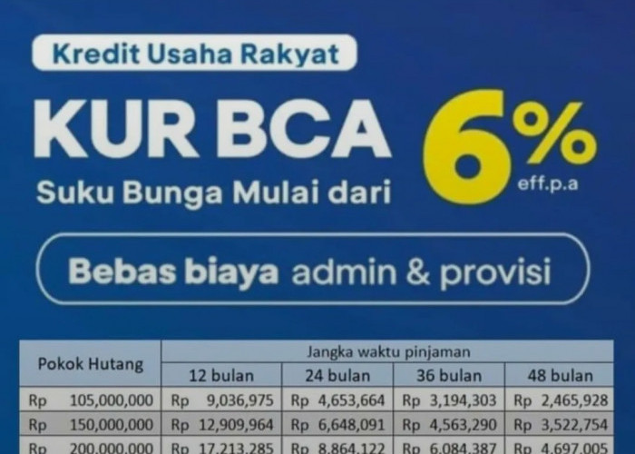 Proses Cepat dan Tidak Ribet! Cek Syarat KUR BCA 2025, Dapatkan Suntikan Modal Usaha hingga Rp500 Juta