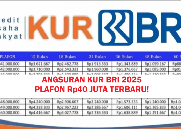 Angsuran Mulai Rp700 Ribuan Saja! KUR BRI 2025 Plafon Rp40 Juta Sudah Bisa Kamu Dapatkan Dengan Tenor 5 Tahun
