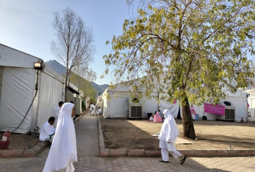 Pohon Soekarno di Padang Arafah, Peneduh Jamaah Haji dari Seluruh Dunia