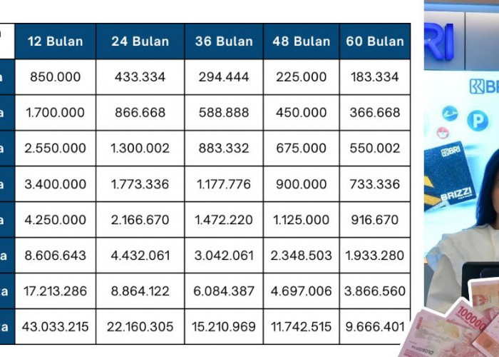 Ini Tabel KUR BRI 2025 Terbaru Tenor Hingga 60 Bulan, Plafon Kredit Rp55 Juta, Cicilan Ringan untuk UMKM