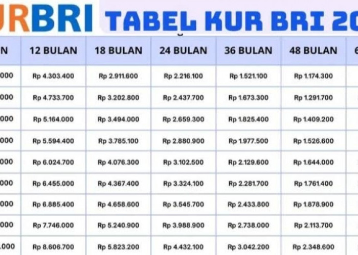 Angsuran KUR BRI 2025, Tambahan Modal Usaha Plafon Rp500 Juta, Cicilan per bulan Rp216.667 Ribu!