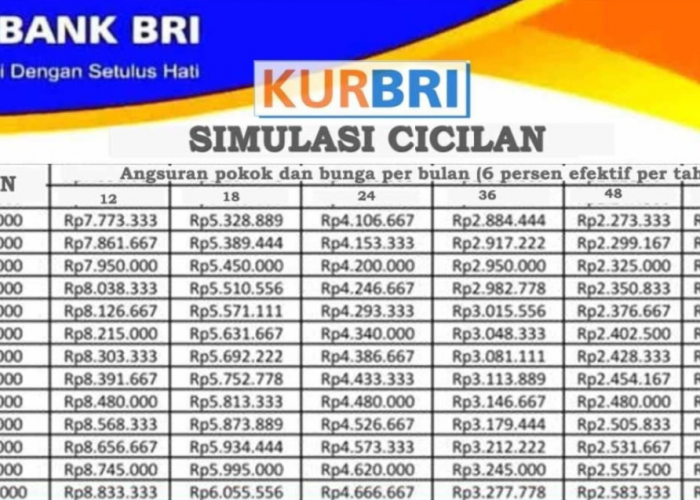 Angsuran KUR BRI 2025 Plafon Rp100 Juta Hanya Rp2 Jutaan! Simak Skema Terbarunya! UMKM Wajib Tahu!