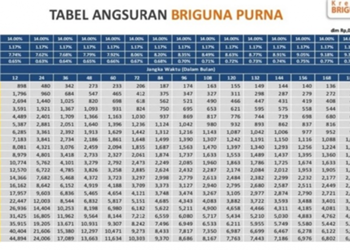 Gaji Pensiun Anda Tak Lagi Cukup? Coba Pinjaman Pensiunan di BRI dengan Bunga Ringan!