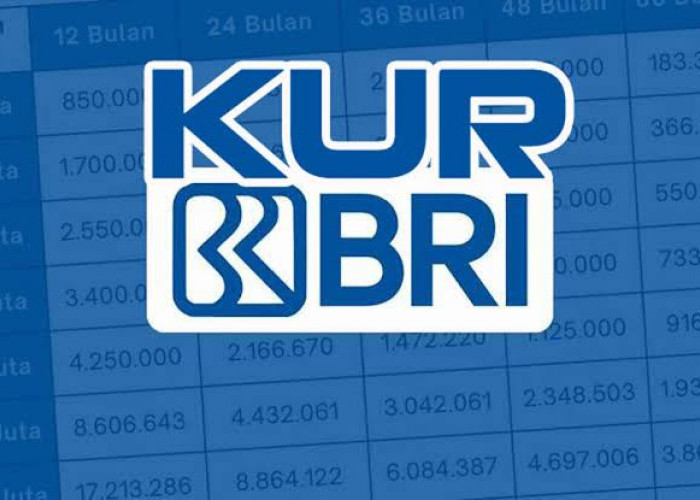 Ajukan KUR BRI 2025 Lewat HP, Simpel dan Dana Langsung Masuk!