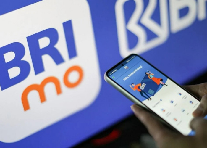 Mudah dan Cepat! Begini Cara Cek Status Pengajuan dan Tagihan KUR BRI Secara Online Terbaru!