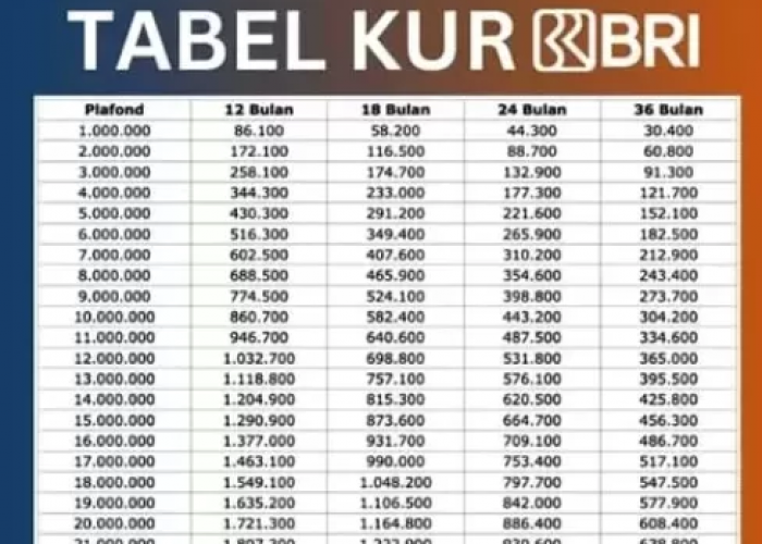 Berapa Tenor Tertinggi KUR BRI 2025? Apakah Bisa Cair Hanya Dengan Modal KTP Saja?
