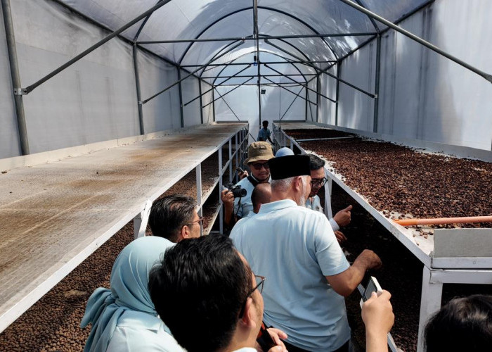 Bukan Energi Listrik Saja, Begini Cara Pertamina Dorong Pemanfaatan Panas Bumi untuk Perekonomian Rakyat