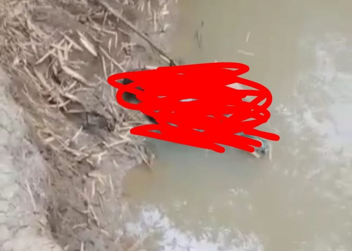 Penemuan Mayat Perempuan Mengapung di Sungai
