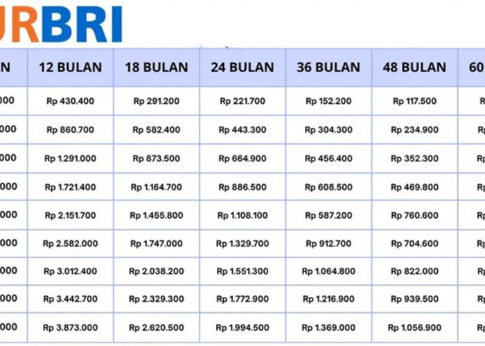 UMKM Harus Tau! Ini Tabel Angsuran Terbaru KUR BRI 2025 Pinjaman Rp25 Juta, Cicilan Mulai 800 ribuan!