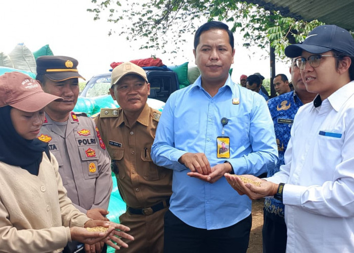 Pemda Indramayu Optimis Bisa Capai Target Penyerapan Gabah