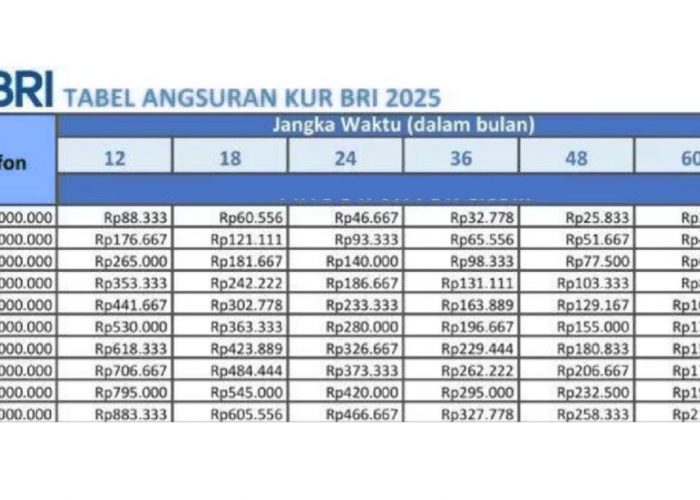 Dapatkan Pinjaman KUR BRI 10 Juta dengan Tenor 3 Tahun untuk Anda Sekarang Juga! Cicilan Ringan Hanya Rp7 Ribu