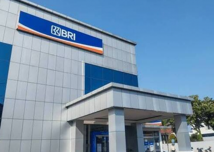 Bunga KUR BRI 2025 Berapa Persen? Dijamin Ringan UMKM Bisa Bernapas Lega, Cek Detailnya!