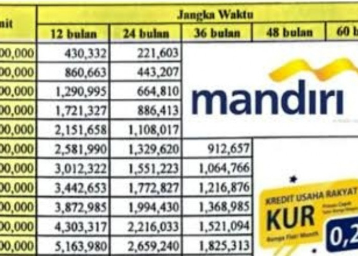 UMKM Naik Kelas, Begini Skema Pinjaman KUR Mandiri 50 Juta, Cicilan 1 Jutaan Tenor 36 Bulan, Angsuran Ringan