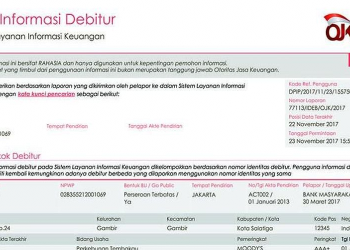 Skor Kredit Kol 1? Jangan Minder! Ini Langkah Cepat Bikin BI Checking Jadi Idaman Bank!