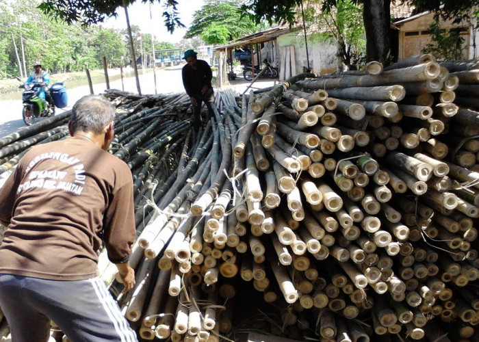 Jelang HUT RI Pedagang Bambu Kebanjiran Order