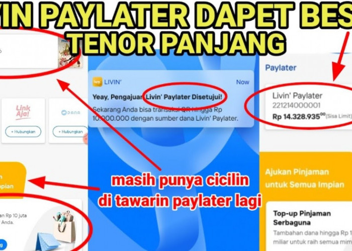 Cara Aktifkan Livin' Paylater dari Bank Mandiri, Dapatkan Limit Pinjaman 20 Juta Serta Bunga Mulai 0 Persen