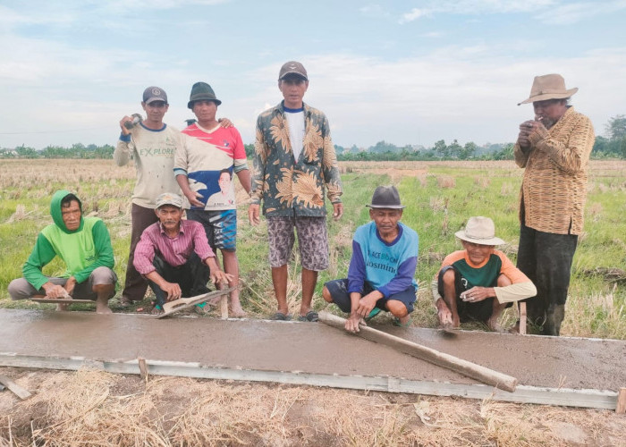 Poktan Babadan Makmur Swadaya Bangun JUT Sepanjang 400 Meter