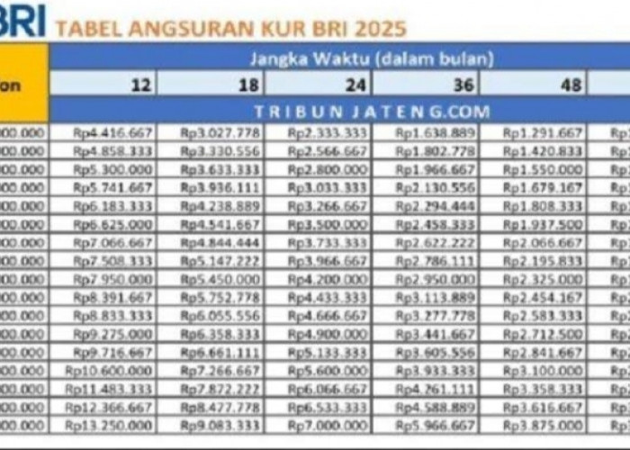 Berapa Angsuran KUR BRI 100 Juta 5 Tahun? Jadi Pilihan UMKM dalam Ekspansi Bisnis! Cek Skemanya 