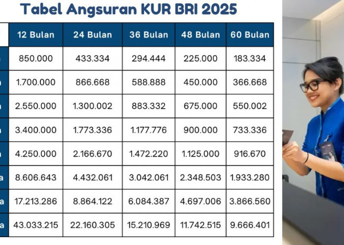 Pinjaman Rp25 Juta KUR BRI 2025, Ini Tabel Angsuran Bulanan dengan Bunga Rendah dan Tenor Sesuai Pilihanmu