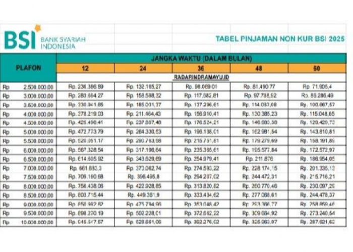 Pinjaman Modal Usaha Rp100 Juta Cicilan Mulai Rp21 Ribu, Tanpa Jaminan Dan Bebas Riba! 
