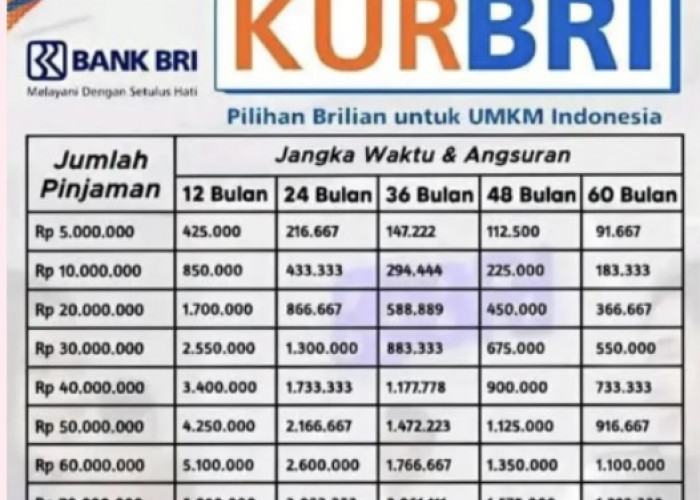 Berapa Angsuran KUR BRI 50 Juta 2 Tahun, Ini Tabel Selengkapnya Cicilan Hanya 1 Jutaan Saja untuk UMKM