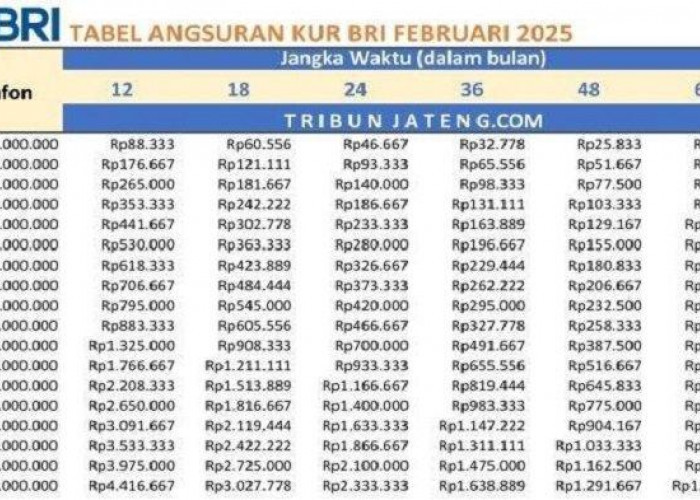 Cicilan Mulai Rp 19 Ribuan! Cek Tabel Angsuran KUR BRI Terbaru, Pinjaman Rp1 Juta hingga Rp10 Juta