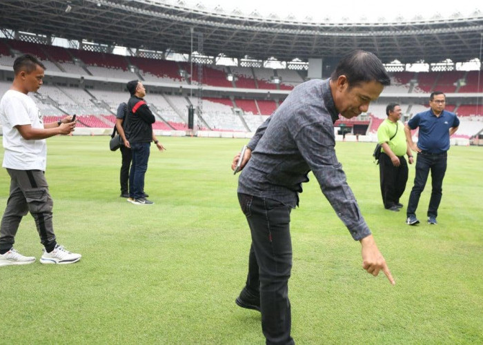 PPKGBK Pastikan Rumput di Stadion GBK Sudah Membaik Saat Menjamu Jepang dan Arab, 'Sekarang Sudah 80 Persen'