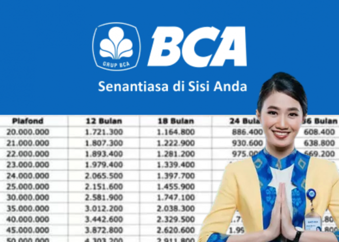 Mulai Dari Rp9 Juta Per Bulan? Ini Simulasi Lengkap Cicilan KUR BCA 2025 Untuk UMKM Hingga Rp500 Juta!