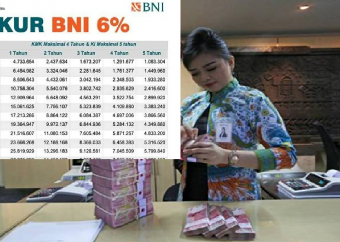 Cicilanya Super Ringan! KUR BNI Tawarkan Pinjaman Rp100 Juta-Rp500 Juta Dengan Tenor 1-5 Tahun, Ini Skemanya!