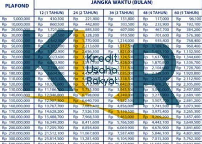 Kenali Perbandingan Pinjaman KUR dan Non KUR BRI, Manakah yang Lebih Menguntungkan UMKM?