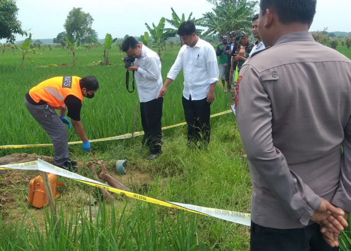 Geger Penemuan Mayat di Kubangan Sawah, Paha Sampai Leher Terendam Air Berwarna Cokelat