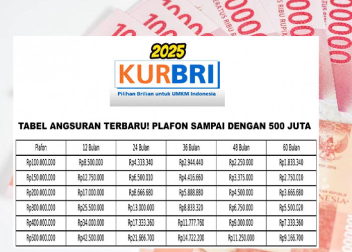 Cicilan Hanya Rp3 Jutaan untuk Pinjaman KUR BRI 2025 Rp100 Juta Tenor 3 Tahun: UMKM Pasti Hepi