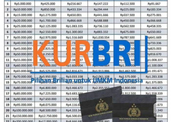 Apakah BPKB Motor Bisa Jadi Jaminan untuk Pinjaman KUR BRI? Cek Jawaban dan Ketentuannya Berikut Ini!