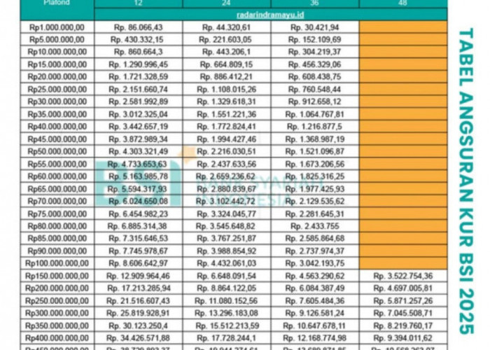 Simulasi Angsuran KUR BSI 100-500 Juta, Tenor Panjang 4 Tahun, Cicilan Rendah 3 Juta