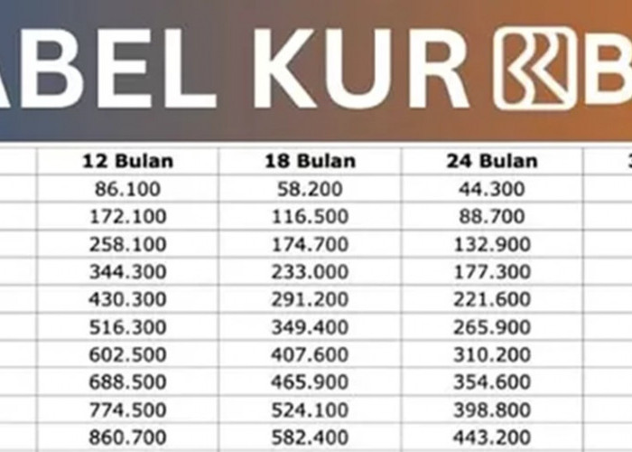 Pinjam KUR BRI Rp10 Juta Bunganya Hanya 3% Per Tahun! Simak Berapa Cicilannya Lewat Tabel Angsuran Berikut Ini
