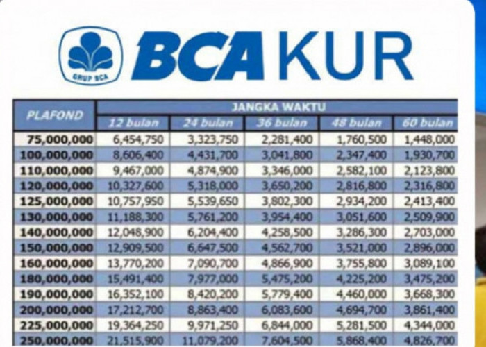 Ini Detail Tabel KUR BCA Solusi Modal Usaha, Berikut Angsuran dari Pinjaman Rp50 Juta, Berapa Cicilannya? 