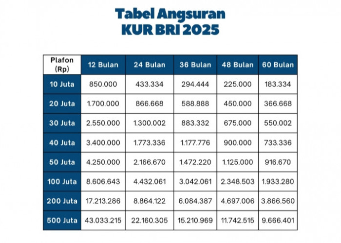 Solusi Tepat untuk UMKM! KUR BRI 2025 Bebas Pilih Tenor 1-5 Tahun, Cicilan Mulai Rp200 Ribuan!