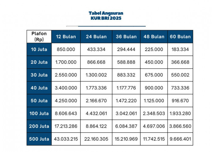 UMKM Bisa Dapat Pinjaman 100 Juta Tanpa Agunan! Ini Tabel Angsuran KUR BRI 2025, Cicilan Terendahnya Segini..