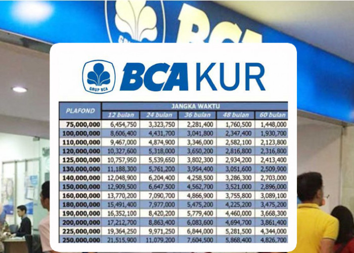 Tabel Angsuran KUR BCA 2025! Pinjaman Rp 50 Juta Syarat Mudah, Angsuran Rp 900 Ribuan Perbulan