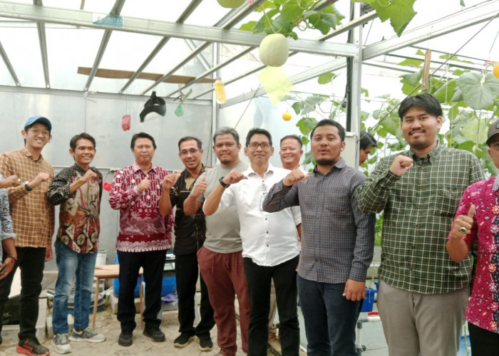 Transformasi Pertanian Modern: APEMI Bersama TIKA dan Kemendes PDTT Kembangkan Smart Farming Melon