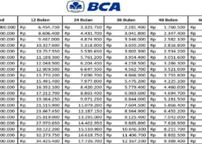 Angsuran Hanya Rp1 Jutaan saja? Cek Skema Lengkap Pinjama KUR BCA 2025 Plafon Rp30 Juta Dibawah Ini!