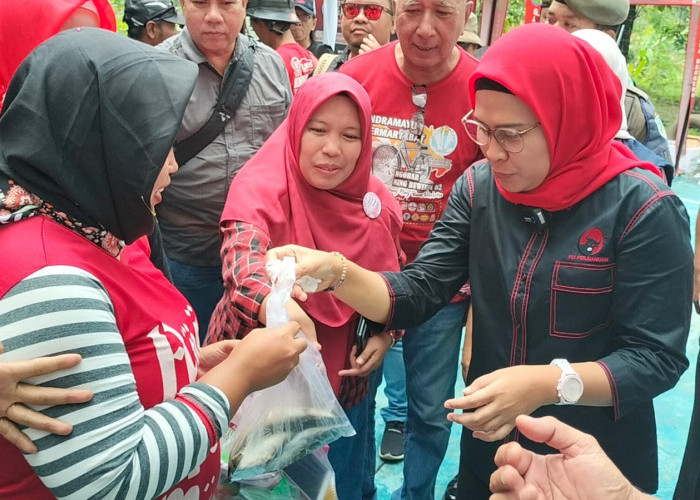 Bupati Selamatkan Puluhan Tenaga Kerja Terlantar di Sulawesi Tengah