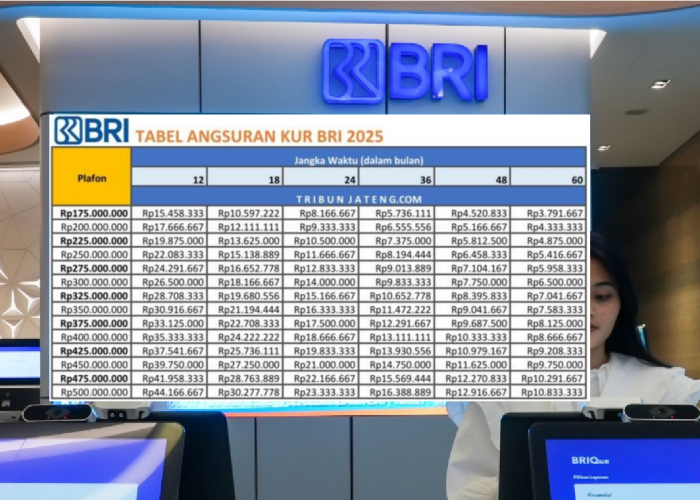 Terbaru! Tabel KUR BRI 2025 Pinjam Modal Hingga Rp500 Juta Bunga Cuma 3 Persen, Serta Cara Cepat Pengajuan