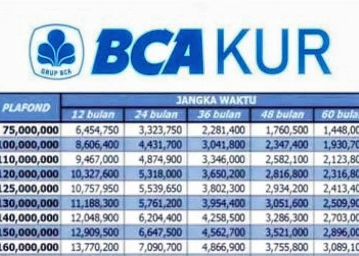 Begini Tabel KUR BCA Pinjaman 100 Juta, Cocok Buat Modal UMKM 2025, Cicilan Mulai dari 1 Juta Tanpa Agunan