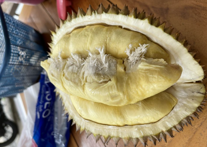 5 Penyakit yang Bisa Diredakan dengan Mengonsumsi Buah Durian Secukupnya 