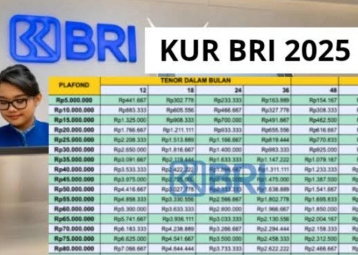Mau Pinjam Rp25 Juta di KUR BRI? Tanpa Jaminan, Cicilan Mulai Rp500 Ribuan! Ini Rincian Tabel Angsurannya