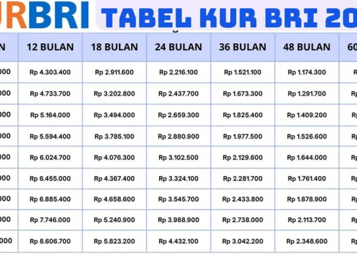 Pinjam Rp10 Juta Sampai Rp500 Juta, Cek Simulasi KUR BRI 2025 Dengan Cicilan Super Ringan dan Syarat Mudah!