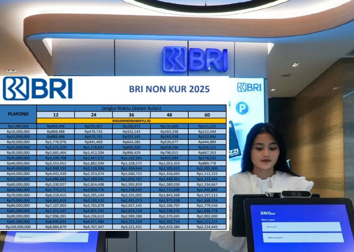 Tabel Pinjaman BRI Non KUR 2025: Cicilan Mulai Rp146 Ribu, Bisa Ajukan Sampai Rp500 Juta!
