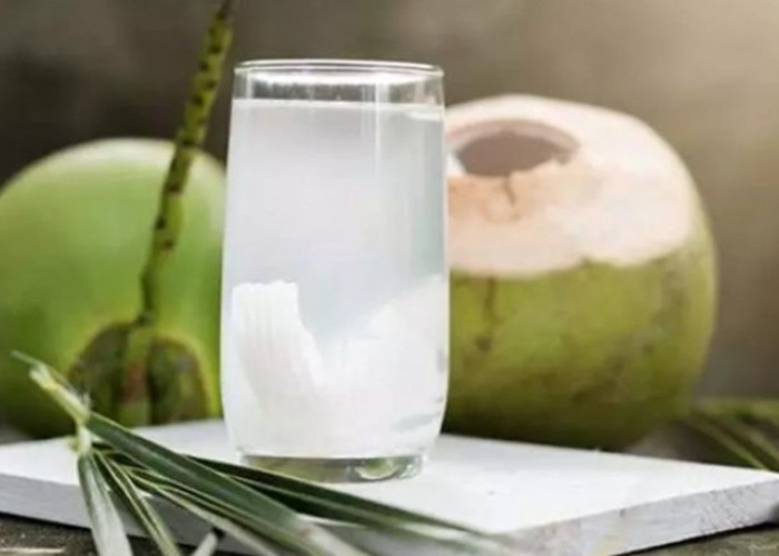 3 Waktu Terbaik untuk Minum Air Kelapa: Maksimalkan Manfaatnya!