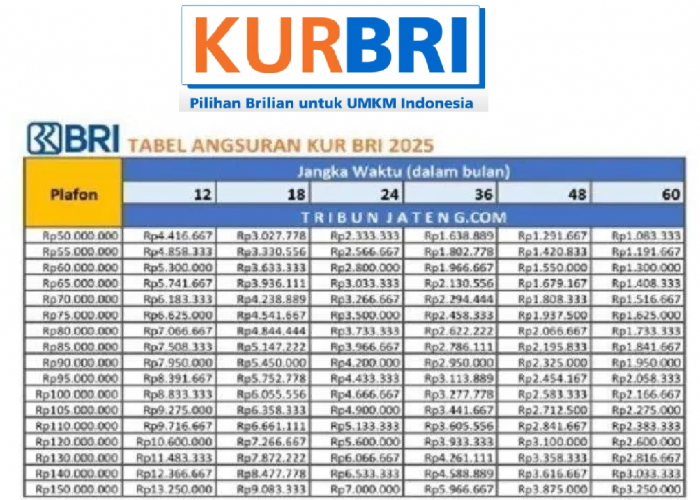 Ini Rincian Angsuran KUR BRI Pinjaman Rp50 Juta Terbaru Bulan Mei 2025, Cicil Mulai dari Rp216 Ribu Saja